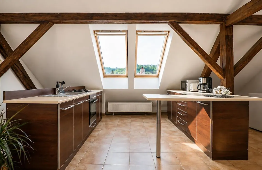 Rooftop Proprety With Large Terrace & Stunning Views - Brasov-1